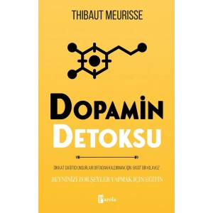 Dopamin Detoksu