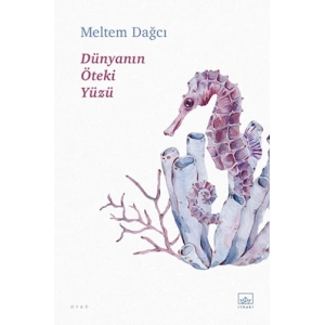Dünyanın Öteki Yüzü