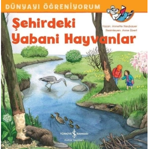 Dünyayı Öğreniyorum - Şehirdeki Yabani Hayvanlar