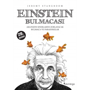 Einstein Bulmacası