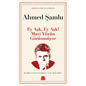 Ey Aşk, Ey Aşk!  Mavi Yüzün Görünmüyor