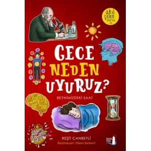 Gece Neden Uyuruz?