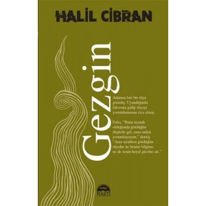 Gezgin
