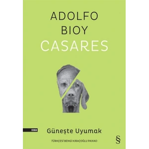 Güneşte Uyumak