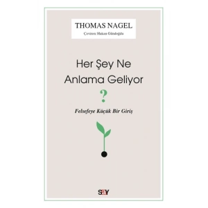 Her Şey Ne Anlama Geliyor?