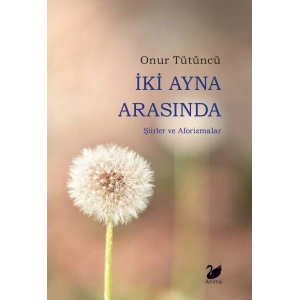 İki Ayna Arasında