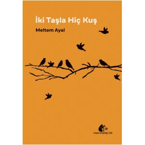 İki Taşla Hiç Kuş