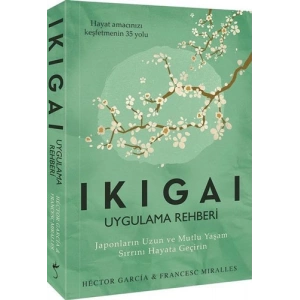Ikigai - Uygulama Rehberi