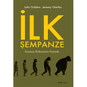 İlk Şempanze