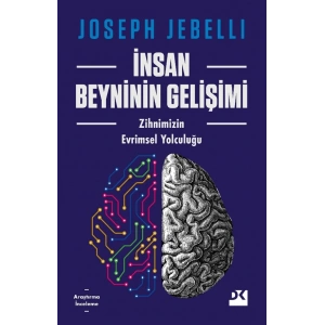 İnsan Beyninin Gelişimi