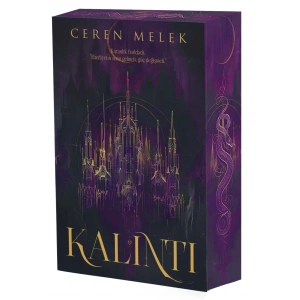 Kalıntı