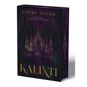 Kalıntı (Ciltli)