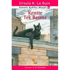 Kanatlı Kediler Masalı 4 - Kentte Tek Başına
