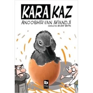Kara Kaz