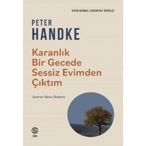 Karanlık Bir Gecede Sessiz Evimden Çıktım