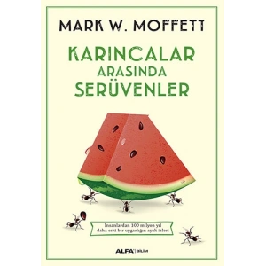 Karıncalar Arasında Serüvenler