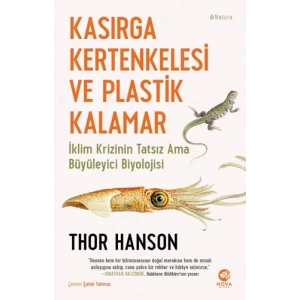 Kasırga Kertenkelesi ve Plastik Kalamar