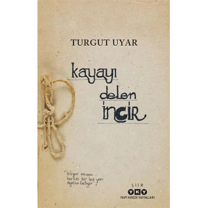 Kayayı Delen İncir