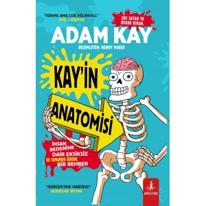 Kay’in Anatomisi