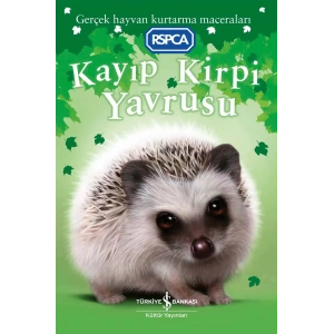 Kayıp Kirpi Yavrusu