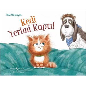 Kedi Yerimi Kaptı!