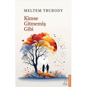Kimse Gitmemiş Gibi