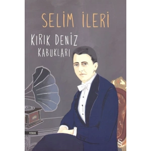 Kırık Deniz Kabukları