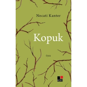 Kopuk