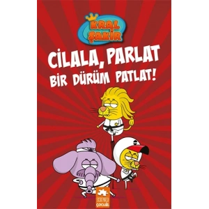 Kral Şakir 13 (Ciltli)