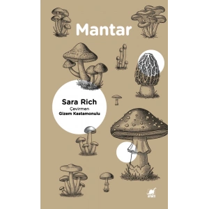 Mantar