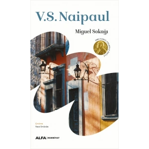 Miguel Sokağı