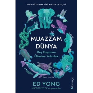 Muazzam Dünya