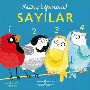 Müthiş Eğlenceli! - Sayılar