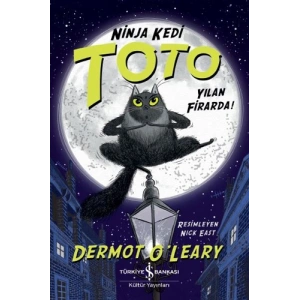 Ninja Kedi Toto