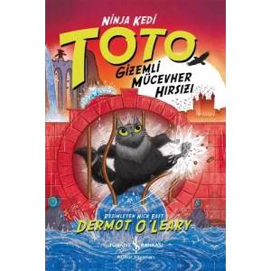 Ninja Kedi Toto - Gizemli Mücevher Hırsızı