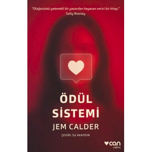Ödül Sistemi