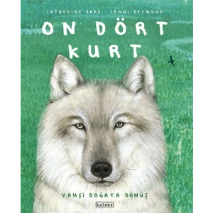 On Dört Kurt (Ciltli)