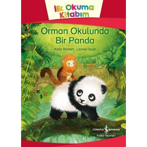 Orman Okulunda Bir Panda