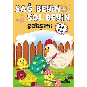 Sağ Beyin - Sol Beyin Gelişimi 3+ Yaş