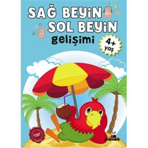 Sağ Beyin - Sol Beyin Gelişimi +4 Yaş