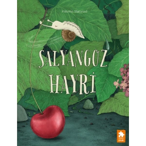 Salyangoz Hayri