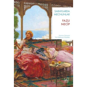 Saraylarda Mecnunlar