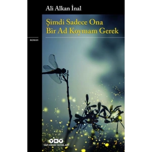 Şimdi Sadece Ona Bir Ad Koymam Gerek