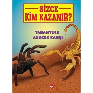 Sizce Kim Kazanır? - Tarantula Akrebe Karşı