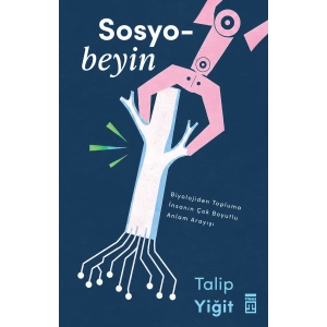 Sosyobeyin