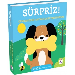 Sürpriz! - Çevremdeki Hayvanları Tanıyorum (Ciltli)