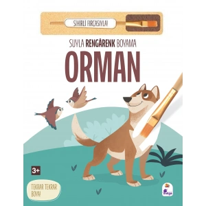 Suyla Rengarenk Boyama - Orman