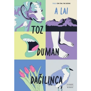 Toz Duman Dağılınca / Alai + Sanat Kitabı