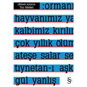 Tuz Günleri