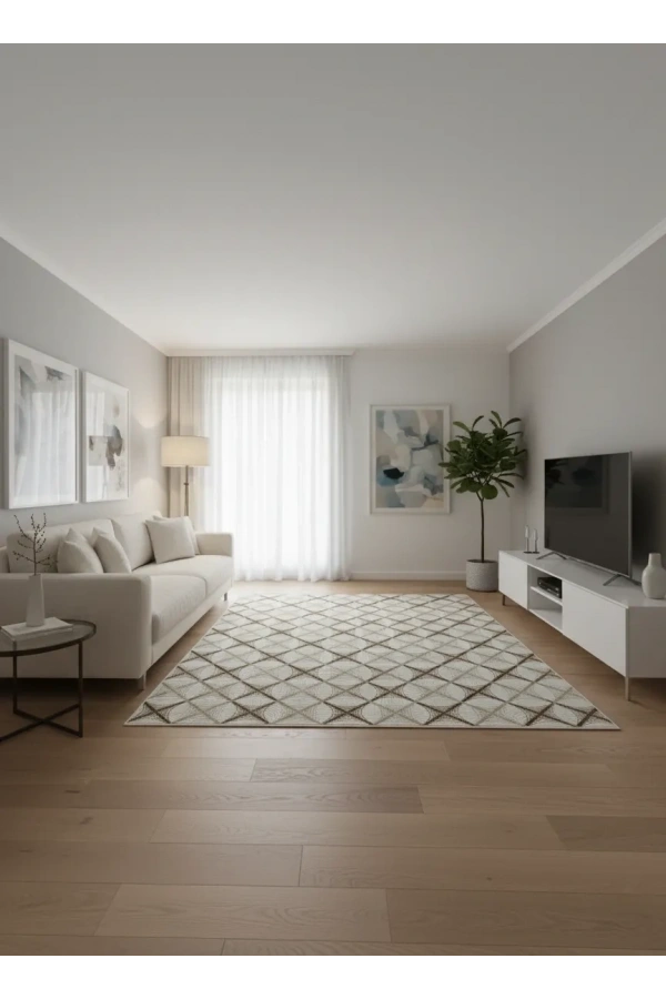 Dinarsu D009 Beyaz-Kahve Halı | Baklava Ağ Desenli Modern Halı